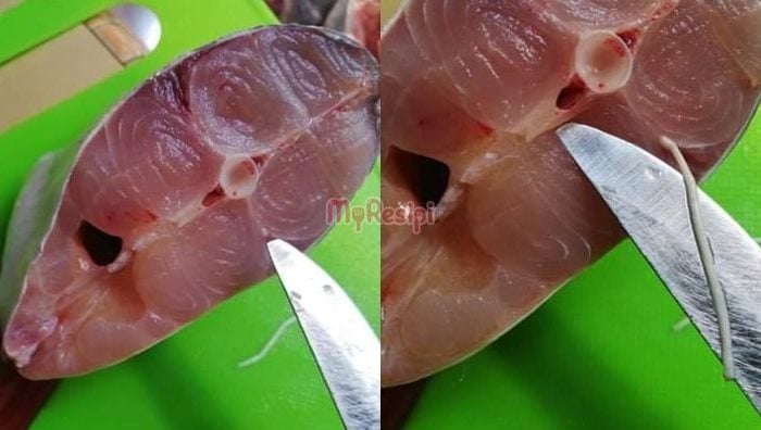 hilangkan hanyir ikan patin