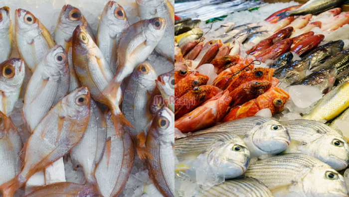 ikan tempatan
