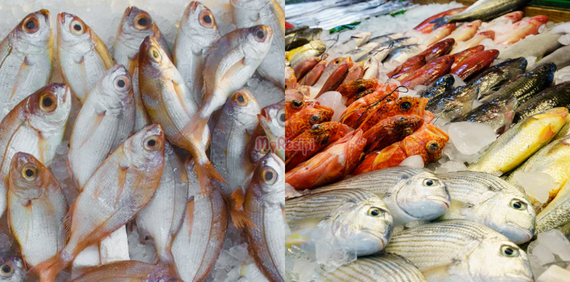 6 jenis ikan tempatan