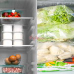 Makanan Dalam Peti Sejuk Pun Boleh Basi? ‘Check’ Balik 5 Kesilapan Ini Masa Simpan