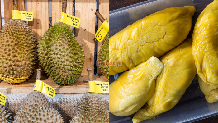 durian musang king