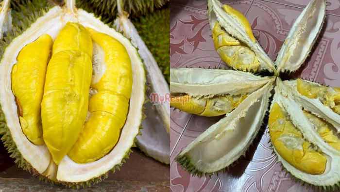 tip pilih durian