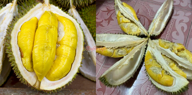 tip pilih durian