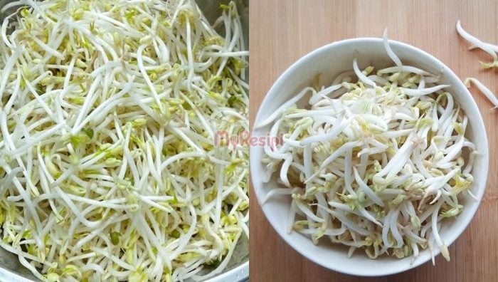 cara cuci taugeh