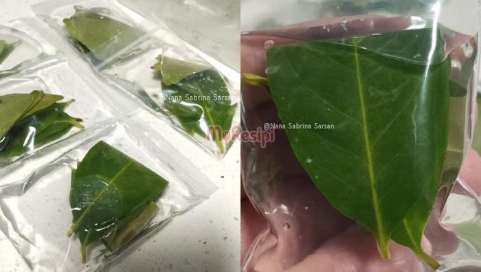 daun salam