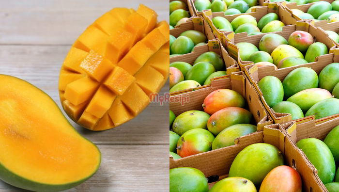 tip pilih mangga manis