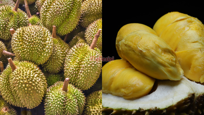 jenis durian