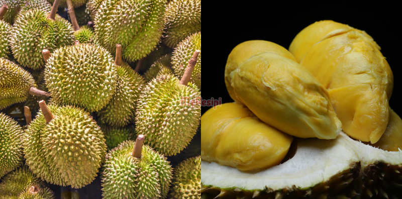 Top 5 Jenis Durian Yang Popular Di Malaysia, Nombor 3 Paling Ramai Peminat!