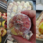 Donut Salted Peach, Terasa Lemak-lemak Masin Butter Yang Cair Itu!