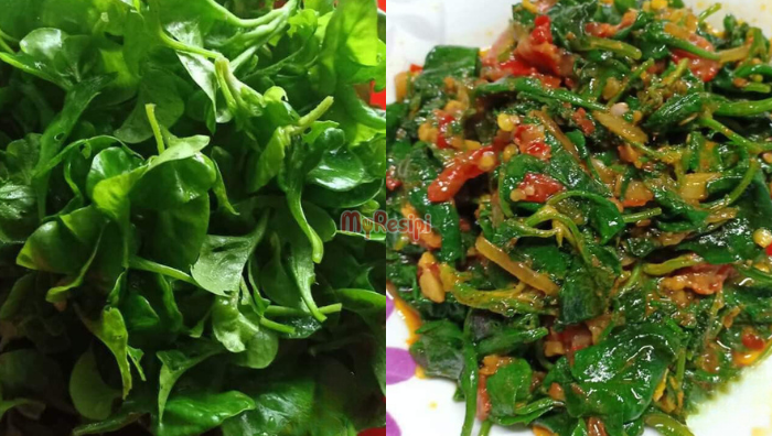 bayam brazil goreng belacan