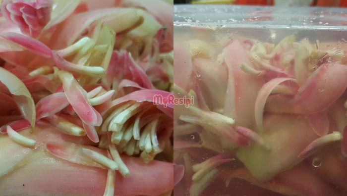 tip simpan bunga kantan