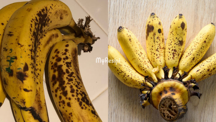 manfaat pisang bertahi lalat
