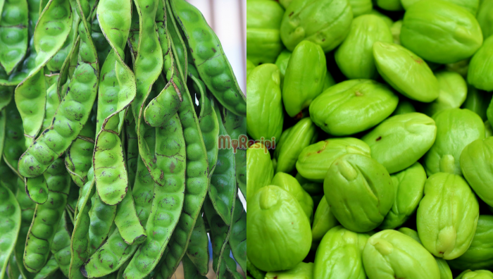 Petai Kecut