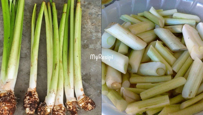 tip hilangkan miang sayur keladi