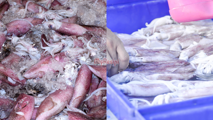tip pilih sotong segar