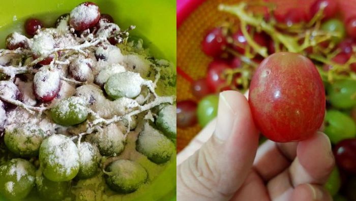cara cuci buah anggur