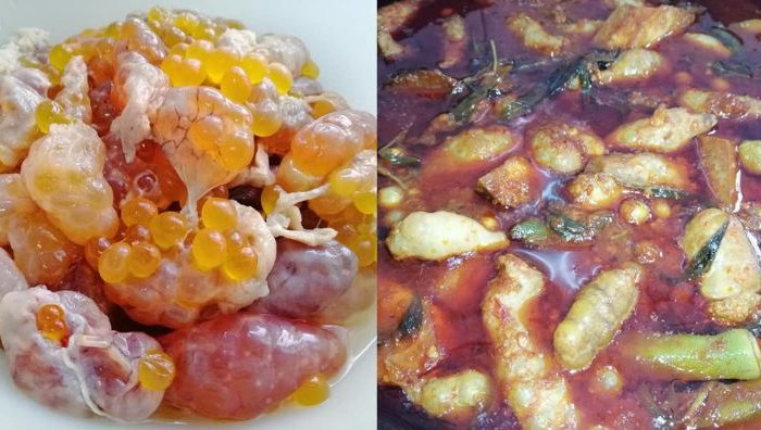 telur ikan mayong