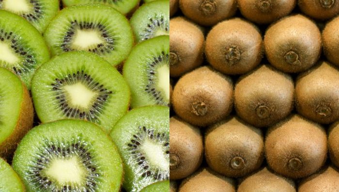 khasiat buah kiwi