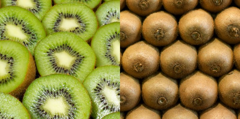 khasiat buah kiwi
