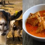 Petua Hilangkan Bau Hamis Daging Kambing, Barulah Sedap Makan Lepas Siap Masak