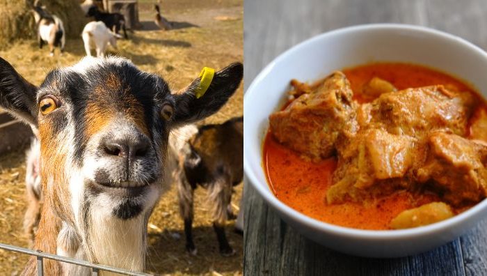 petua hilangkan hamis kambing