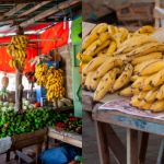 Tip Simpan Pisang Supaya TAHAN Lebih Lama, Ini 8 Cara Yang Boleh Diguna