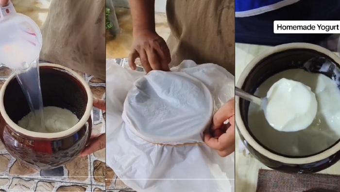buat yogurt sendiri