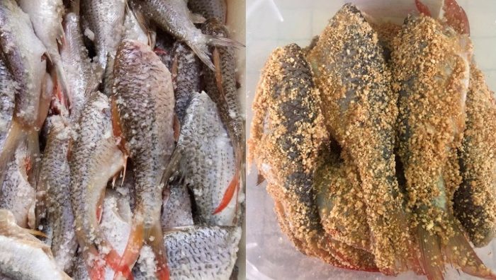cara buat ikan pekasam