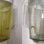 Tip Hilangkan Kesan Kuning Dalam Blender, Guna 3 Bahan Ini Masa Cuci