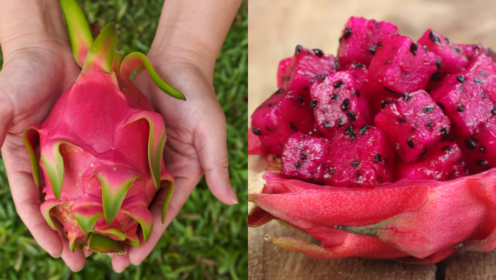 tip pilih buah naga