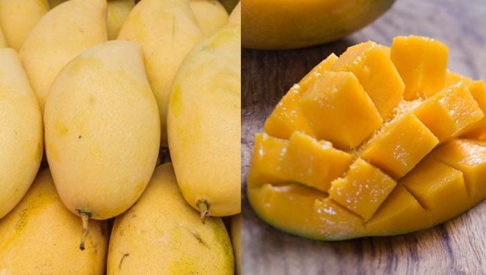 cara pilih mangga