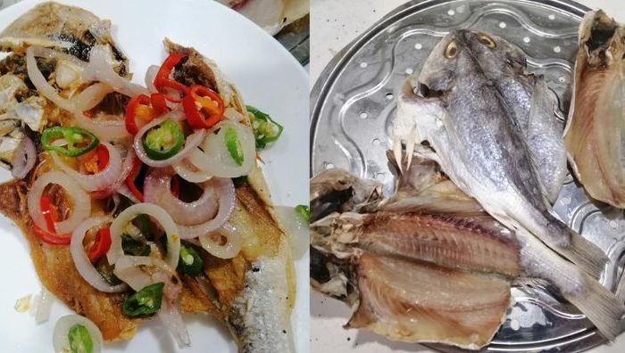 ikan gelama bekok