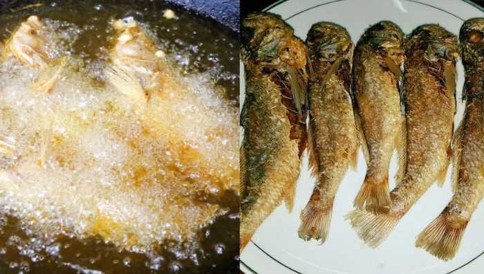 ikan gelama masin goreng