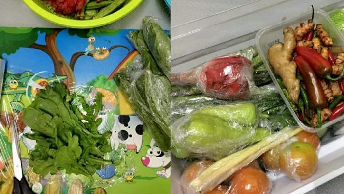 cara simpan sayur