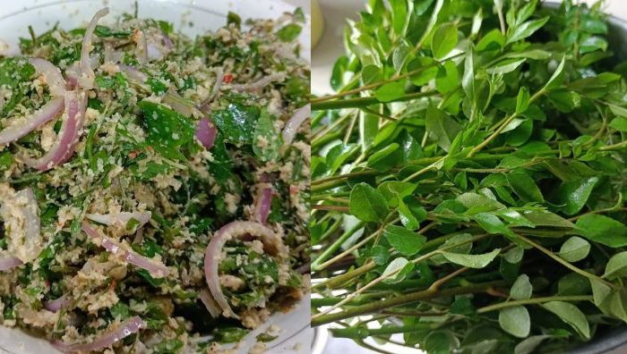 kerabu pucuk daun kari