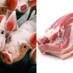 Makanan Yang Ada Babi, Pakar Halal Dedah Ada 10 Istilah Elak Keliru