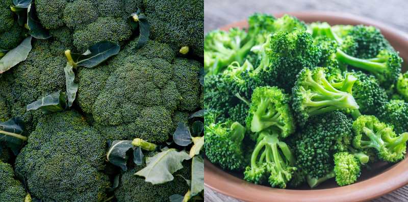 tip simpan brokoli