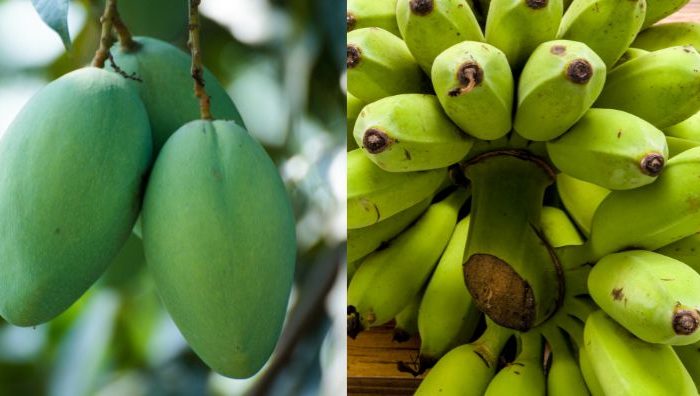 cara peram buah