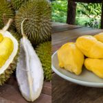 Anda Hantu Durian? Elakkan 9 Makanan Ini Selepas Makan Raja Buah