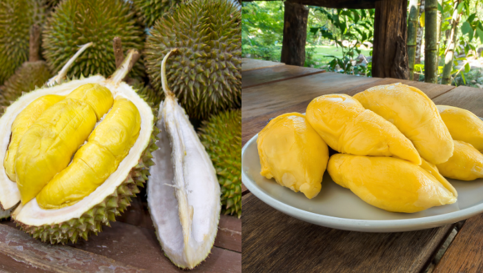 hantu durian