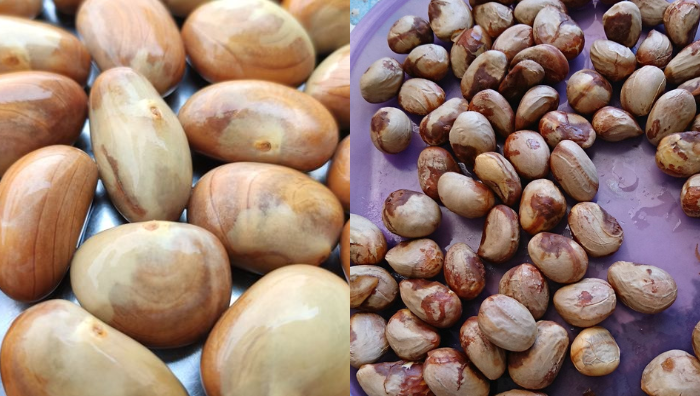tip rebus biji cempedak