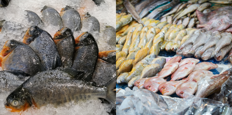 Elak Makan 7 Jenis Ikan Ini, Rupanya Nombor 3 Tu Ramai Yang Suka