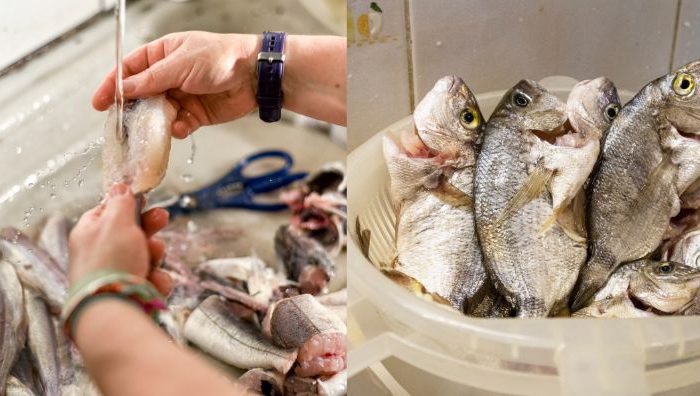 cara siang ikan