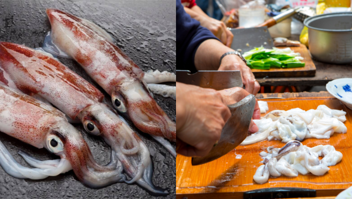 cara siang sotong