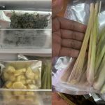 Tips Frozen Stok Sayur-Sayuran Agar Tahan Lama, 6 Bulan Pun Masih ‘Fresh’!