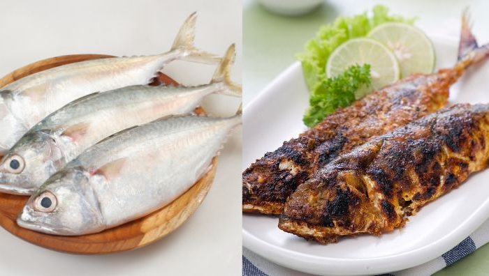 ikan kembung