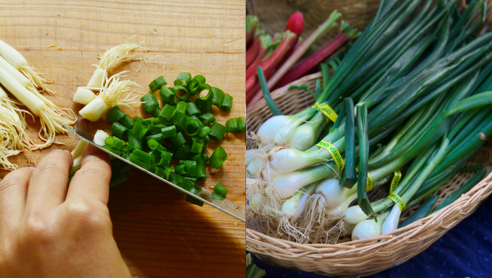 rahsia daun bawang