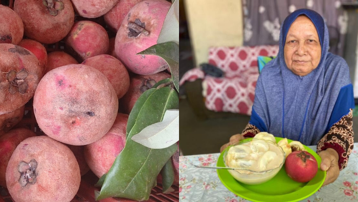 buah mentega