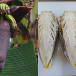 Cara Rebus Jantung Pisang Yang BETUL, Hasil Memang Cantik Dan Tiada Birat Hitam