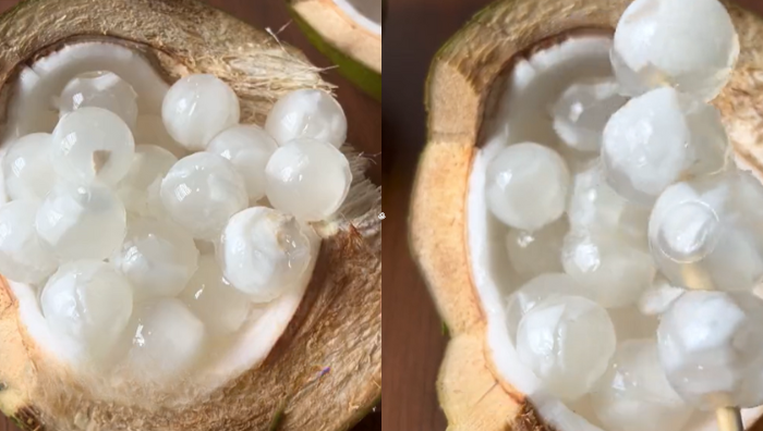 kelapa jelly ball